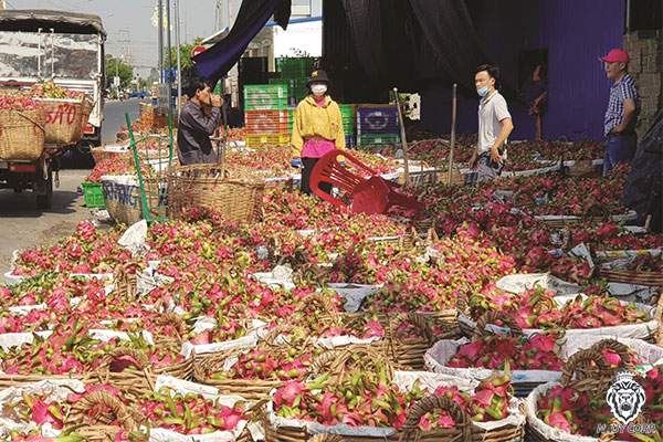 Sản xuất nông nghiệp trong điều kiện dịch Covid-19