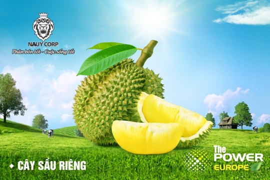 Giải pháp toàn diện ứng phó dịch covid-19