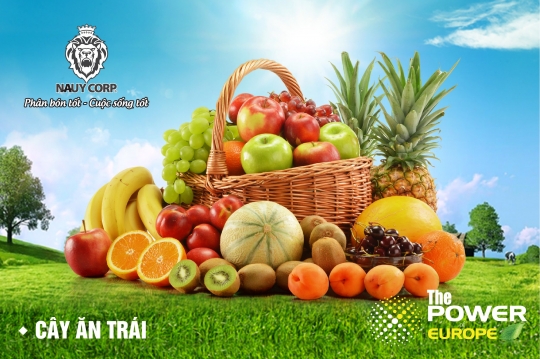 Trồng rau sạch tại nhà với các sản phẩm sinh học