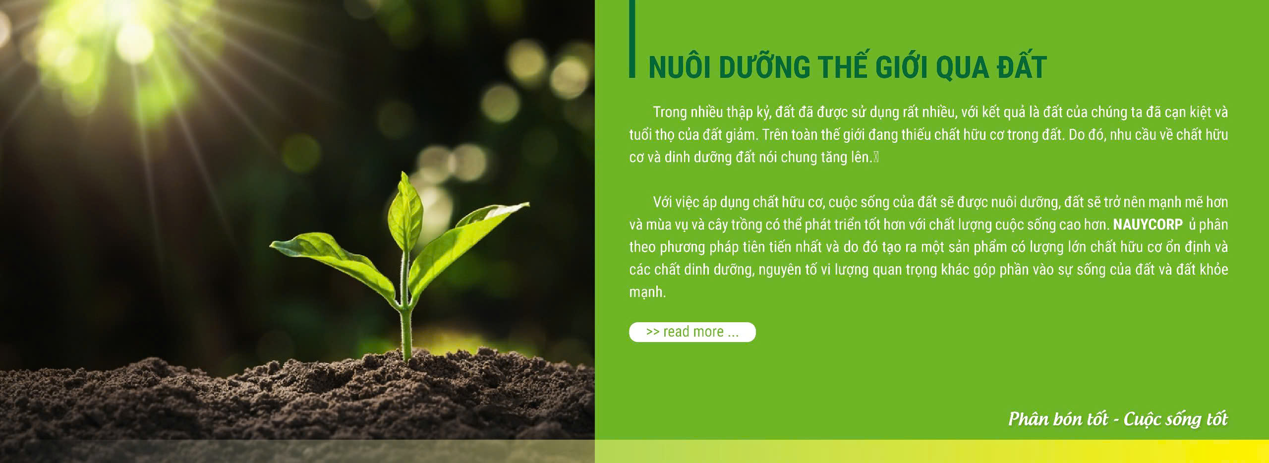 Chất lượng đất