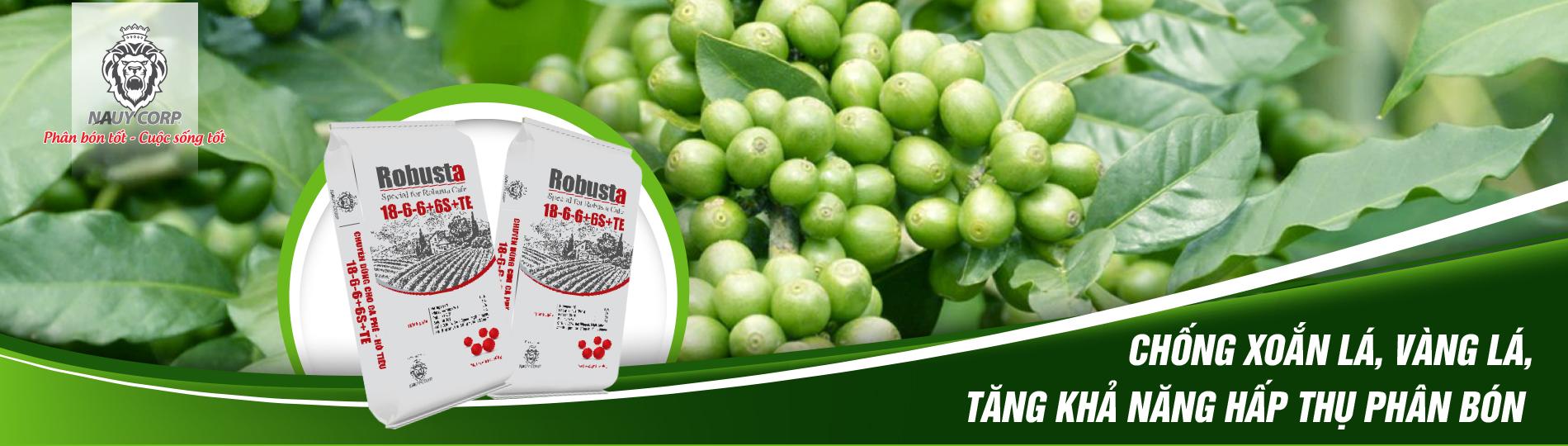 PHÂN BÓN NPK NA UY ROBUSTA - CÀNH VƯƠN MẠNH