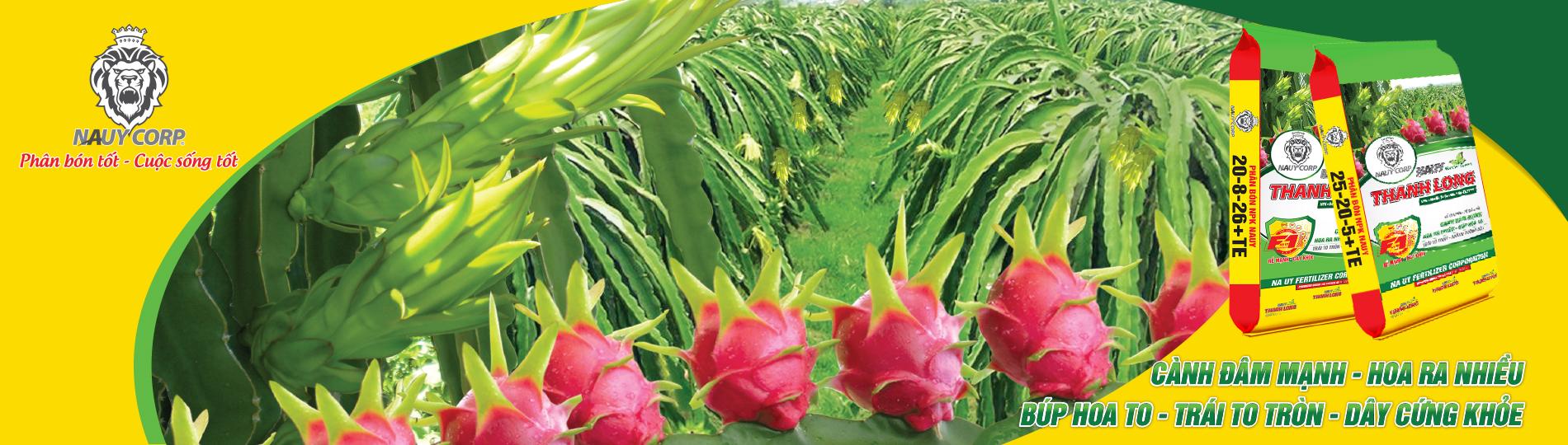 PHÂN BÓN NPK NA UY THANH LONG NUÔI DÂY - BÔNG