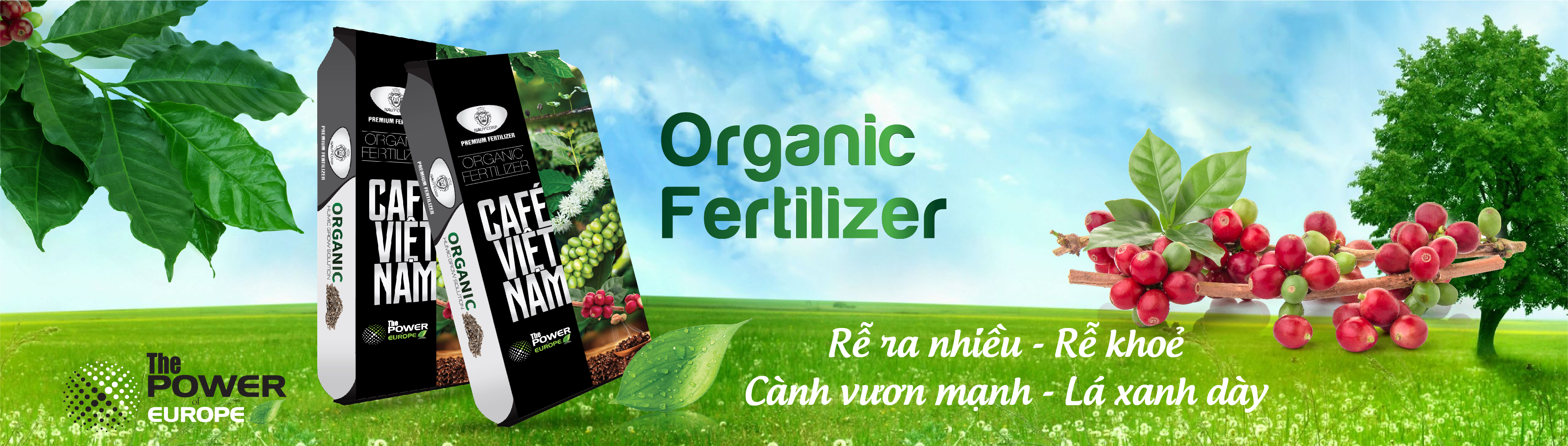 PHÂN BÓN HỮU CƠ NỞ HIỆU SUẤT CAO NA UY CAFÉ VIỆT NAM